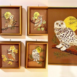 Set of 5 Vintage 1970s Owl Yarn Crewel Embroidery  art (4 small 1 large)
